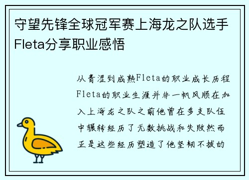 守望先锋全球冠军赛上海龙之队选手Fleta分享职业感悟