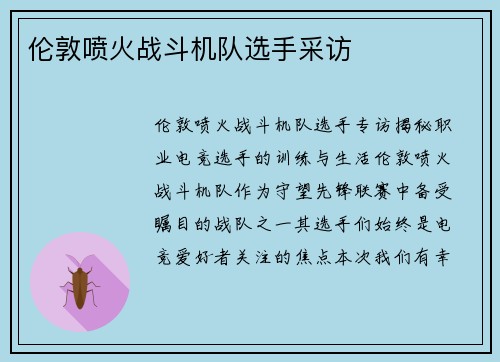 伦敦喷火战斗机队选手采访