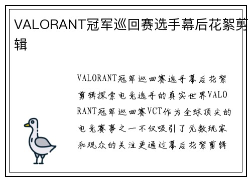VALORANT冠军巡回赛选手幕后花絮剪辑
