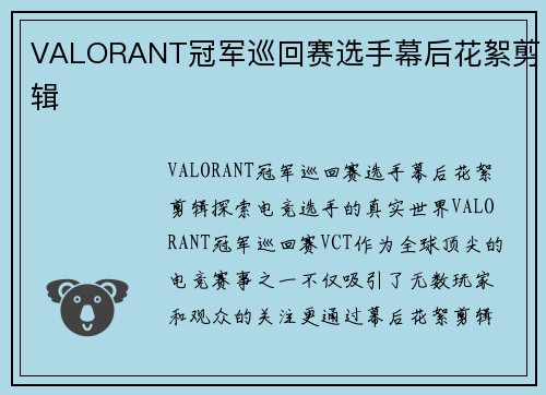 VALORANT冠军巡回赛选手幕后花絮剪辑